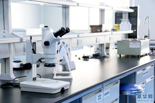 擷取云滇草木香 植物王國云南推動“云妝”全鏈發展